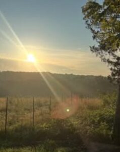 A soft warm sun setting over Ozark hills. A field is in the foreground, with an oak on the side. We talk about grounding relying on mental "snapshots" in this episode.