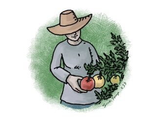 A line art and watercolor image of a woman happily tending her tomato garden. The image has a serene green hatch background to convey a feeling of inner peace. We talk about the importance of balancing spirituality with the psychological side of grieving. But spirituality is experienced in many ways, even through tending a tomato garden.