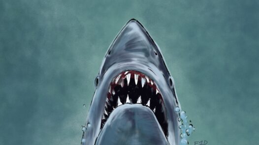 A stylized version of the poster for the movie JAWS.