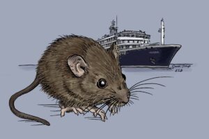 A line art and simply-colored long-tailed pygmy rice rat, the primary reservoir for the Andes strain hantavirus. The MV Hondius is in the background - the cruise ship that had the misfortune of an outbreak of the hantavirus with rare person-to-person spread, resulting in 3 deaths.